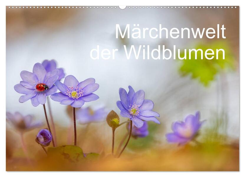 Märchenwelt der Wildblumen (Wandkalender 2026 DIN A2 quer) CALVENDO Monatskalender