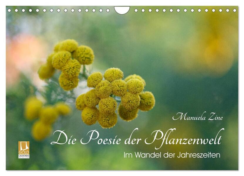 Die Poesie der Pflanzenwelt - Im Wandel der Jahreszeiten (Wandkalender 2026 DIN A4 quer) CALVENDO Monatskalender