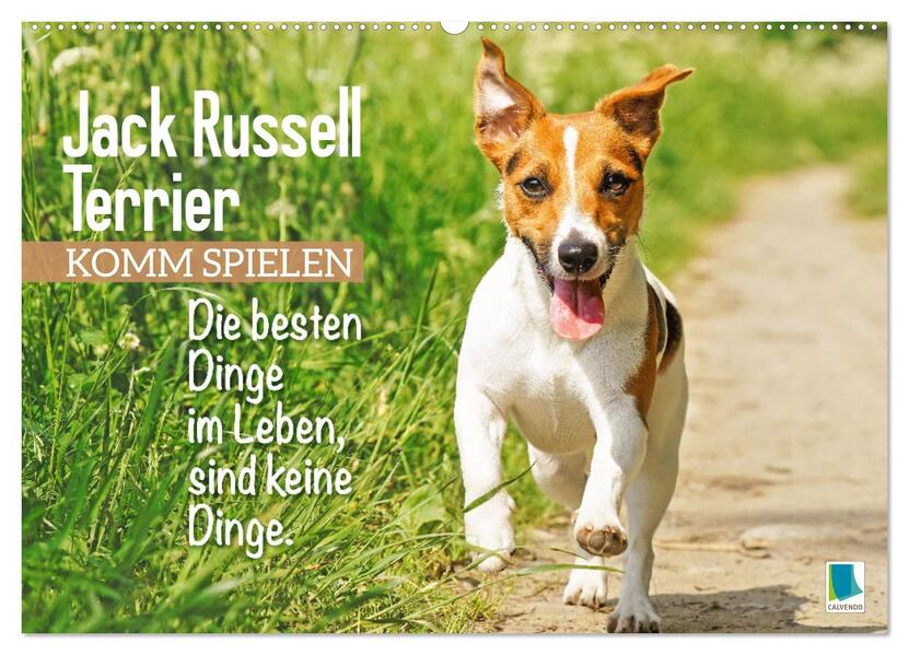 Jack Russell Terrier: Komm spielen (Wandkalender 2026 DIN A2 quer) CALVENDO Monatskalender
