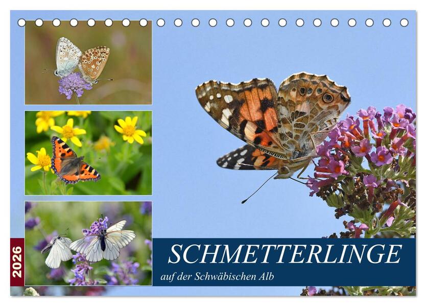 Schmetterlinge auf der Schwäbischen Alb (Tischkalender 2026 DIN A5 quer) CALVENDO Monatskalender