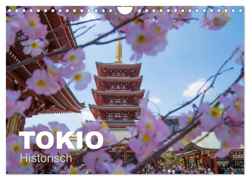 Tokio Kalender mit historischen Tempeln und Schreinen (Wandkalender 2026 DIN A4 quer) CALVENDO Monatskalender
