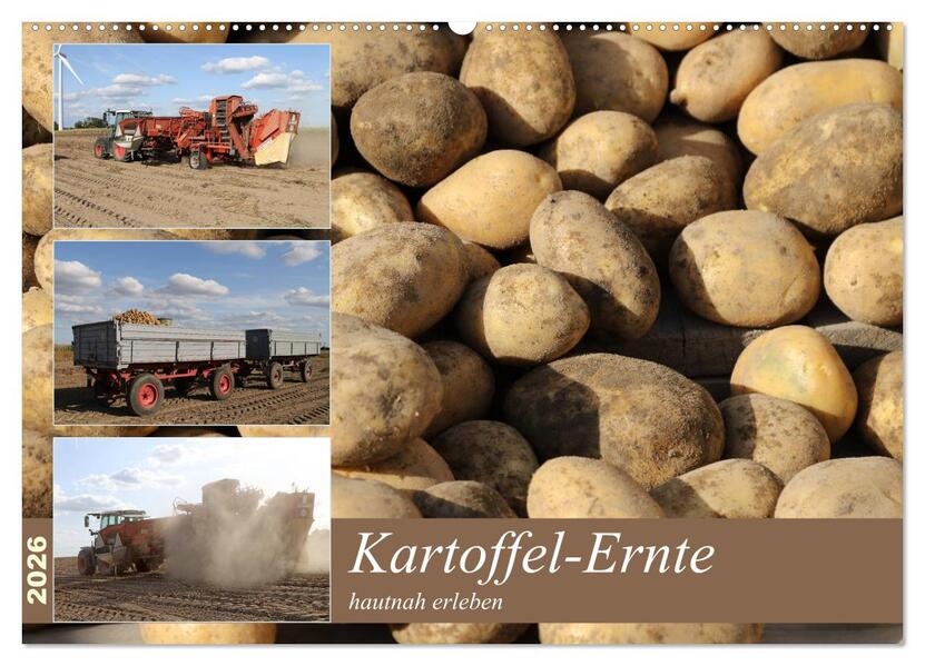 Kartoffel-Ernte - hautnah erleben (Wandkalender 2026 DIN A2 quer) CALVENDO Monatskalender