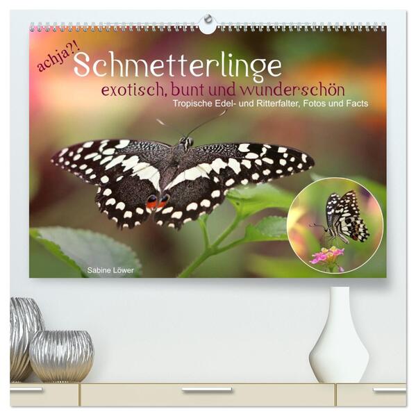 achja?! Schmetterlinge exotisch bunt und wunderschön (hochwertiger Premium Wandkalender 2026 DIN A2 quer) Kunstdruck in Hochglanz