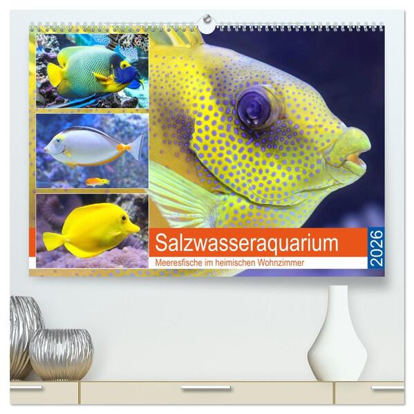 Salzwasseraquarium. Meeresfische im heimischen Wohnzimmer (hochwertiger Premium Wandkalender 2026 DIN A2 quer) Kunstdruck in Hochglanz