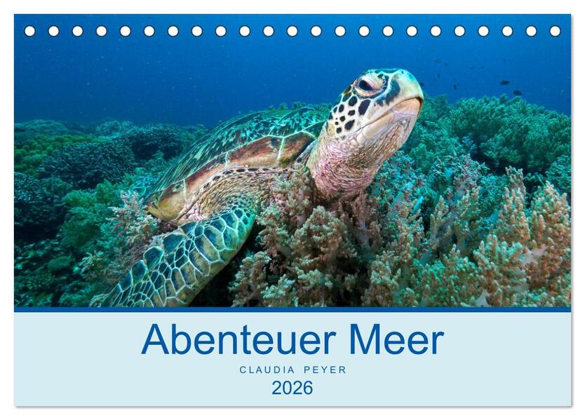 Abenteuer Unterwasser (Tischkalender 2026 DIN A5 quer) CALVENDO Monatskalender
