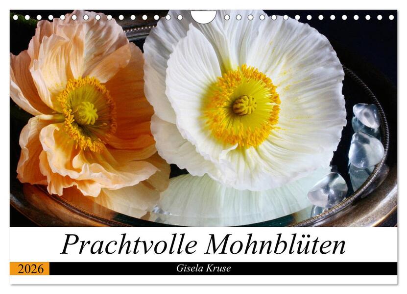 Prachtvolle Mohnblüten (Wandkalender 2026 DIN A4 quer) CALVENDO Monatskalender