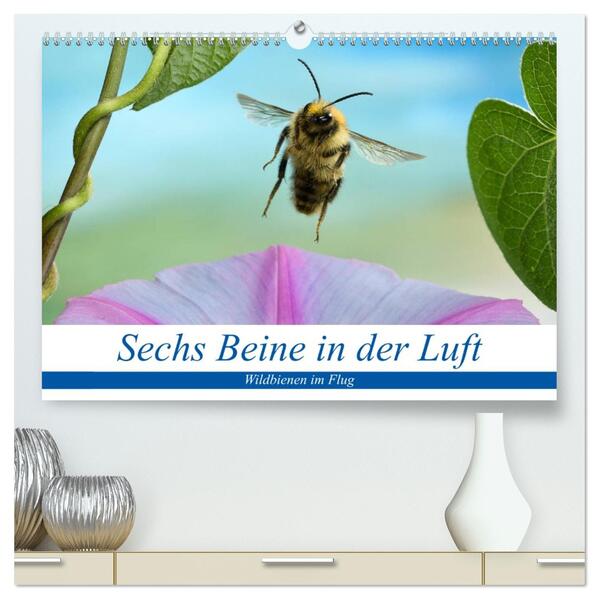 Sechs Beine in der Luft - Wildbienen im Flug (hochwertiger Premium Wandkalender 2026 DIN A2 quer) Kunstdruck in Hochglanz