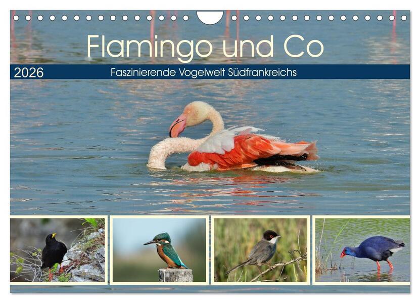 Flamingo und Co - Faszinierende Vogelwelt Südfrankreichs (Wandkalender 2026 DIN A4 quer) CALVENDO Monatskalender