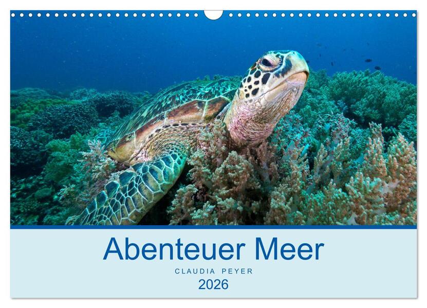 Abenteuer Unterwasser (Wandkalender 2026 DIN A3 quer) CALVENDO Monatskalender