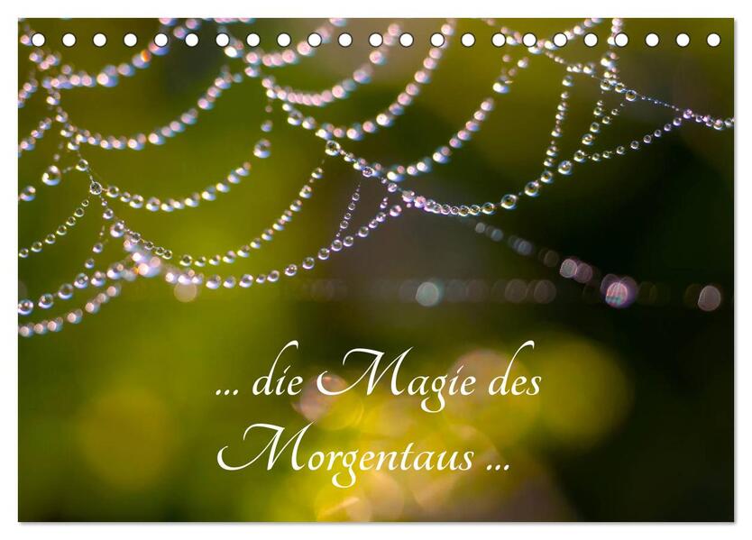 ... die Magie des Morgentaus ... (Tischkalender 2026 DIN A5 quer) CALVENDO Monatskalender