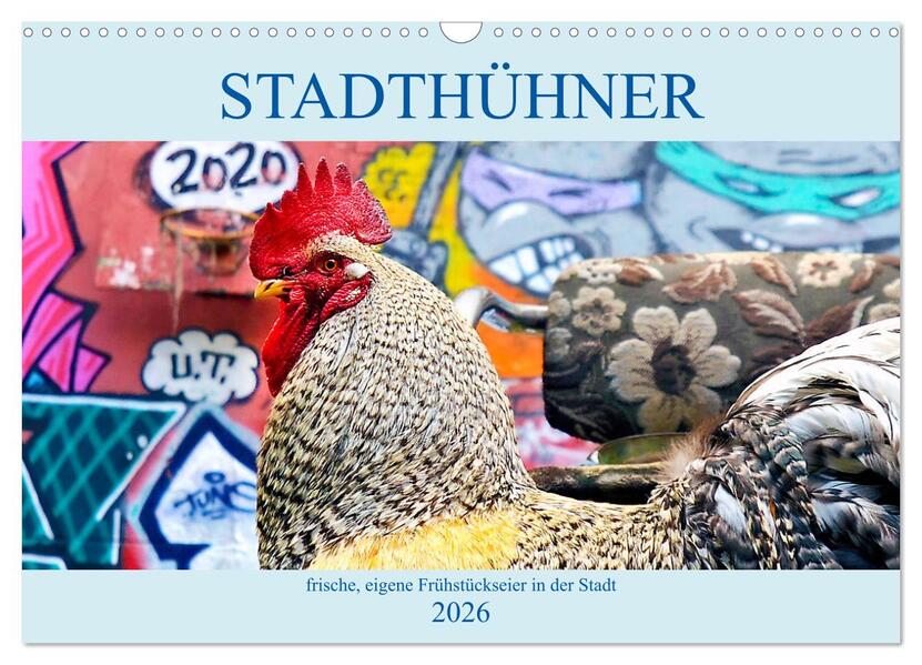 Stadthühner (Wandkalender 2026 DIN A3 quer) CALVENDO Monatskalender