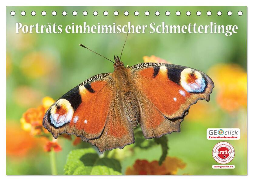 GEOclick Lernkalender: Porträts einheimischer Schmetterlinge (Tischkalender 2026 DIN A5 quer) CALVENDO Monatskalender