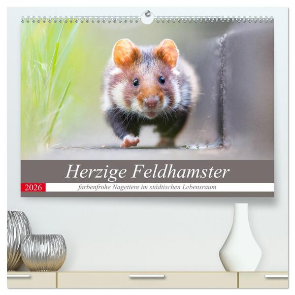 Herzige Feldhamster - farbenfrohe Nagetiere im städtischen Lebensraum (hochwertiger Premium Wandkalender 2026 DIN A2 quer) Kunstdruck in Hochglanz