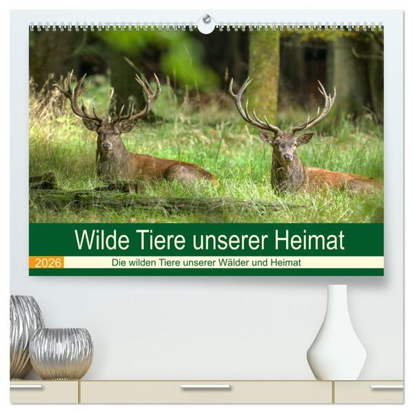 Wilde Tiere unserer Heimat (hochwertiger Premium Wandkalender 2026 DIN A2 quer) Kunstdruck in Hochglanz
