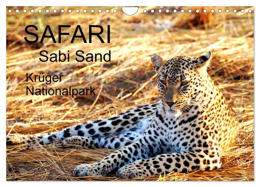 Safari / Afrika (Wandkalender 2026 DIN A4 quer) CALVENDO Monatskalender