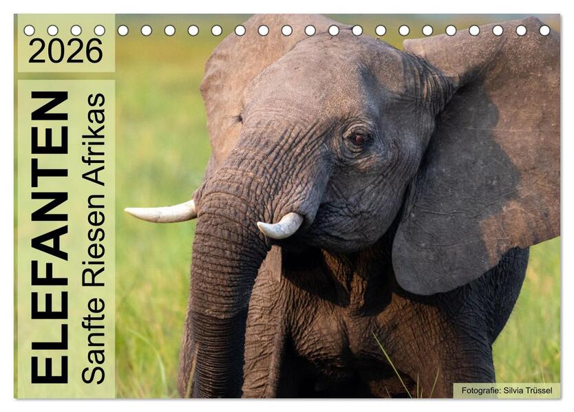 Elefanten - Sanfte Riesen Afrikas (Tischkalender 2026 DIN A5 quer) CALVENDO Monatskalender