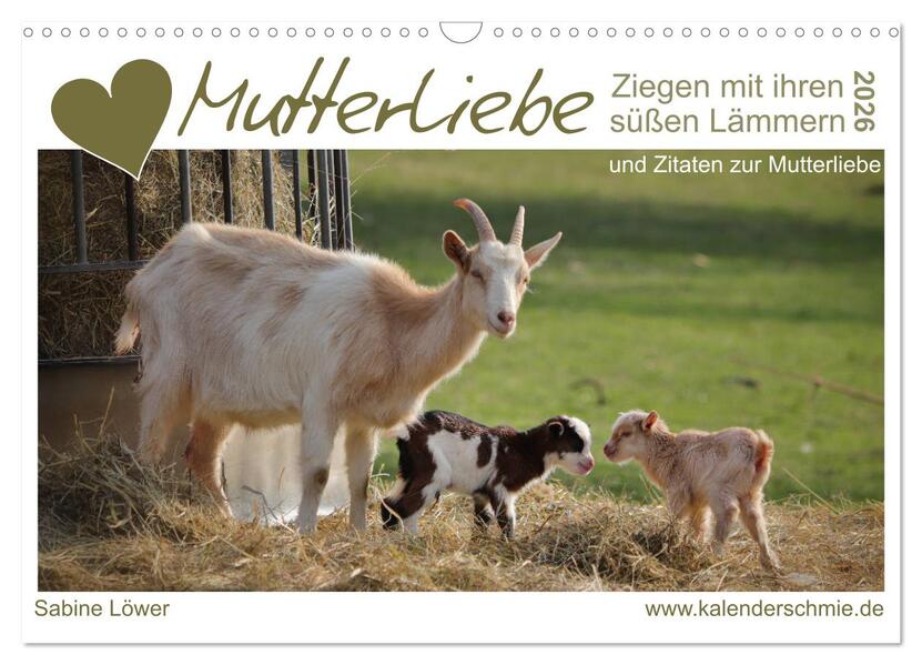 Mutterliebe - Ziegen mit ihren süßen Lämmern (Wandkalender 2026 DIN A3 quer) CALVENDO Monatskalender