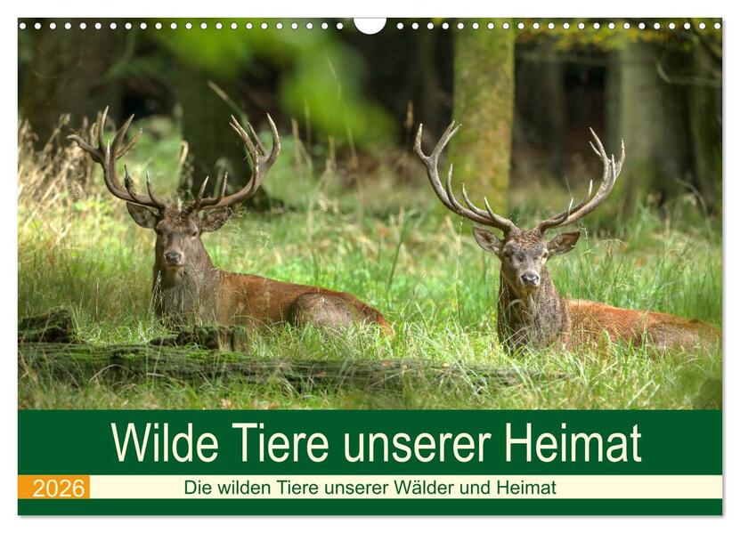 Wilde Tiere unserer Heimat (Wandkalender 2026 DIN A3 quer) CALVENDO Monatskalender