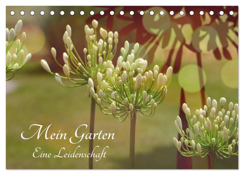 Mein Garten Eine Leidenschaft (Tischkalender 2026 DIN A5 quer) CALVENDO Monatskalender