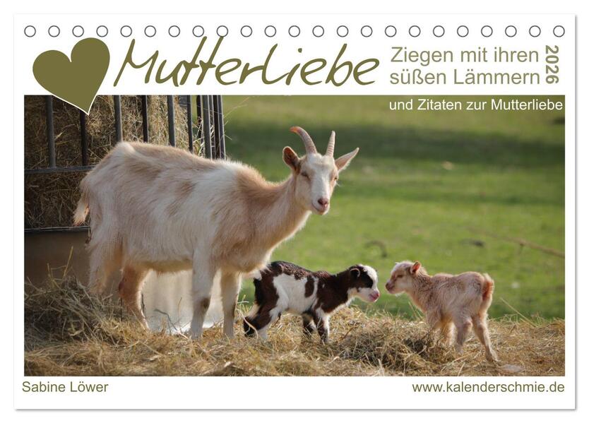 Mutterliebe - Ziegen mit ihren süßen Lämmern (Tischkalender 2026 DIN A5 quer) CALVENDO Monatskalender