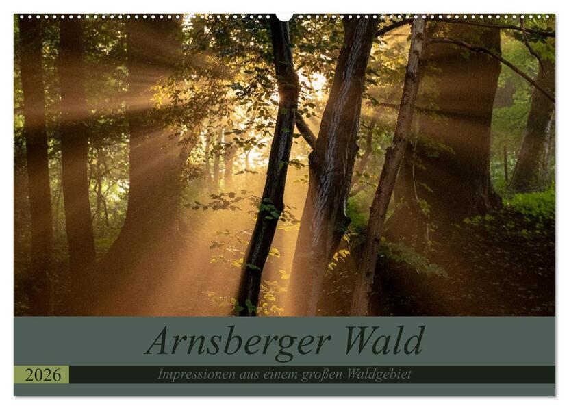 Arnsberger Wald (Wandkalender 2026 DIN A2 quer) CALVENDO Monatskalender