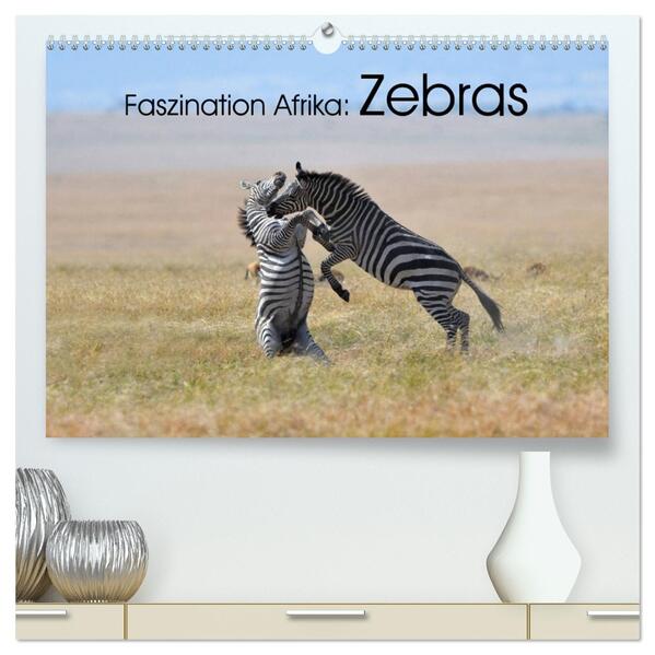 Faszination Afrika: Zebras (hochwertiger Premium Wandkalender 2026 DIN A2 quer) Kunstdruck in Hochglanz