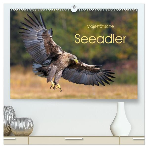 Majestätische Seeadler (hochwertiger Premium Wandkalender 2026 DIN A2 quer) Kunstdruck in Hochglanz