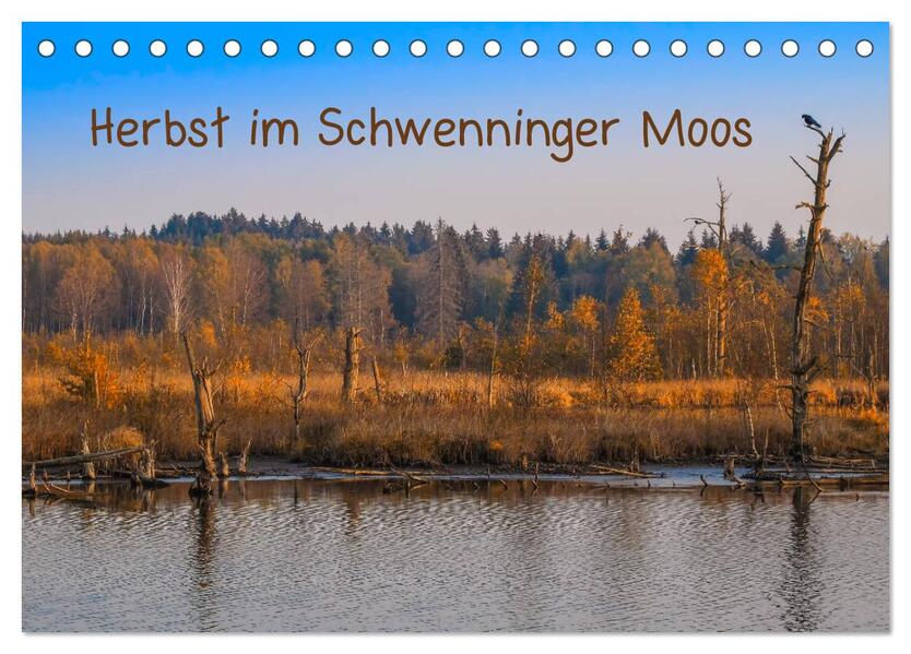 Herbst im Schwenninger Moos (Tischkalender 2026 DIN A5 quer) CALVENDO Monatskalender