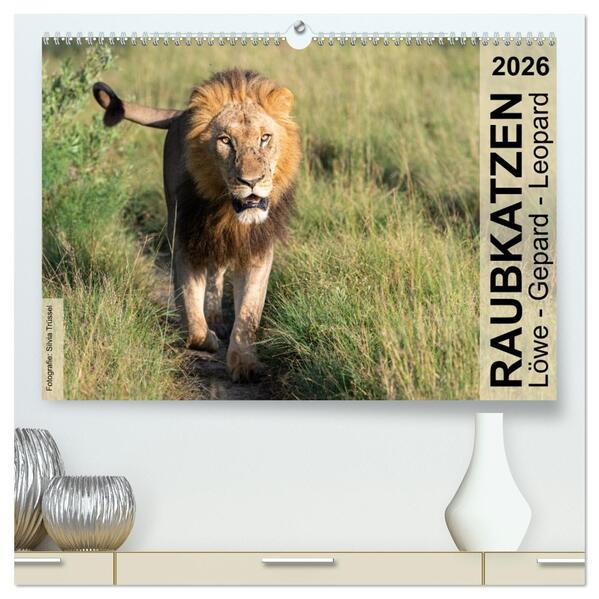 Raubkatzen - Löwe Gepard Leopard (hochwertiger Premium Wandkalender 2026 DIN A2 quer) Kunstdruck in Hochglanz
