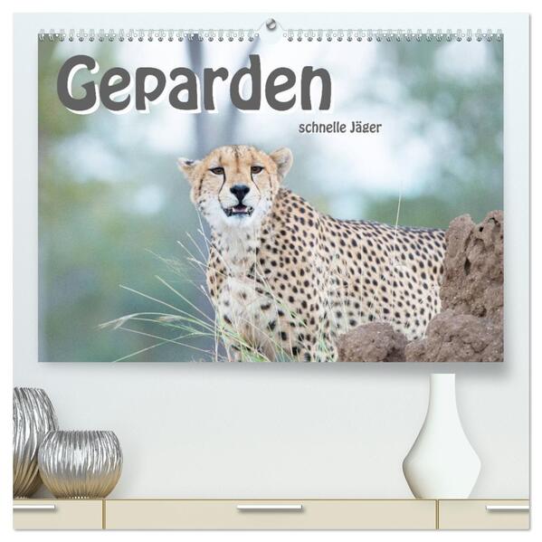 Geparden - schnelle Jäger (hochwertiger Premium Wandkalender 2026 DIN A2 quer) Kunstdruck in Hochglanz
