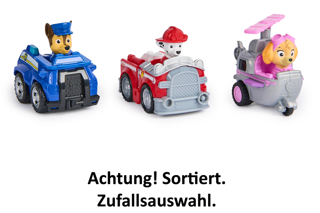 PAW Deluxe Rescue Racers
