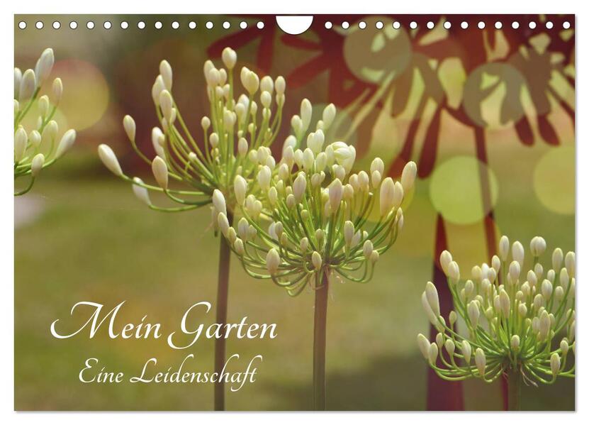 Mein Garten Eine Leidenschaft (Wandkalender 2026 DIN A4 quer) CALVENDO Monatskalender