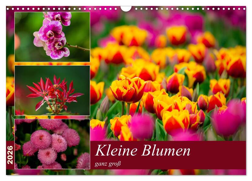 Kleine Blumen ganz groß (Wandkalender 2026 DIN A3 quer) CALVENDO Monatskalender