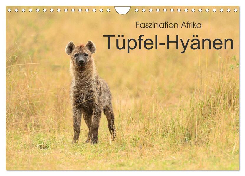 Faszination Afrika: Tüpfel-Hyänen (Wandkalender 2026 DIN A4 quer) CALVENDO Monatskalender