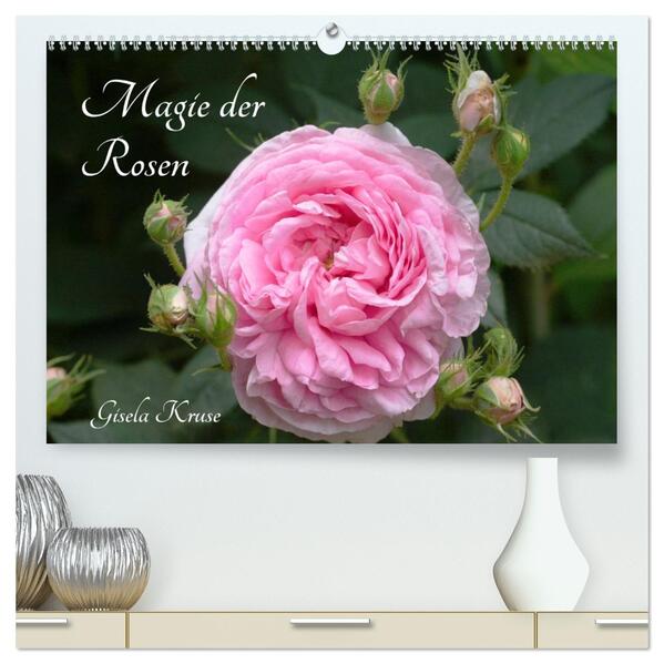 Magie der Rosen (hochwertiger Premium Wandkalender 2026 DIN A2 quer) Kunstdruck in Hochglanz