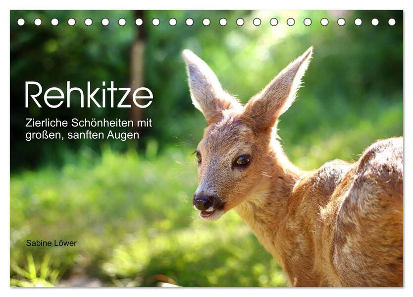 Rehkitze zierliche Schönheiten mit großen sanften Augen (Tischkalender 2026 DIN A5 quer) CALVENDO Monatskalender