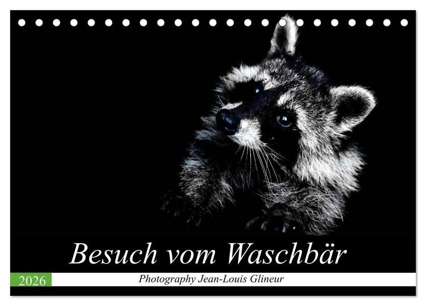 Besuch vom Waschbär (Tischkalender 2026 DIN A5 quer) CALVENDO Monatskalender