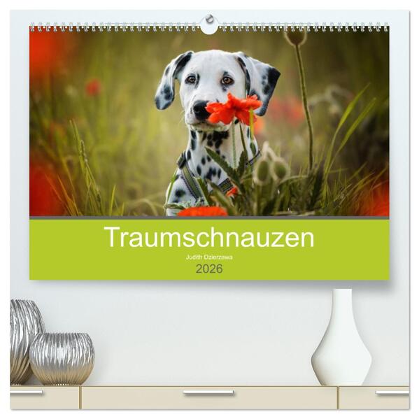Traumschnauzen (hochwertiger Premium Wandkalender 2026 DIN A2 quer) Kunstdruck in Hochglanz