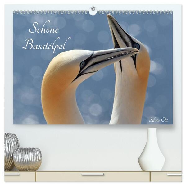 Schöne Basstölpel (hochwertiger Premium Wandkalender 2026 DIN A2 quer) Kunstdruck in Hochglanz