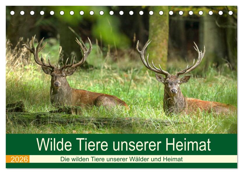 Wilde Tiere unserer Heimat (Tischkalender 2026 DIN A5 quer) CALVENDO Monatskalender