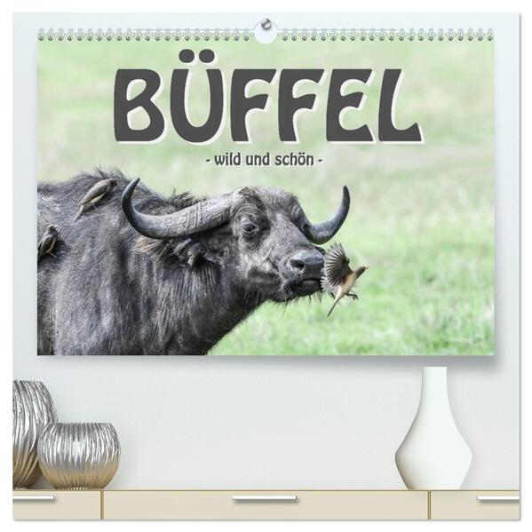 Büffel - wild und schön (hochwertiger Premium Wandkalender 2026 DIN A2 quer) Kunstdruck in Hochglanz