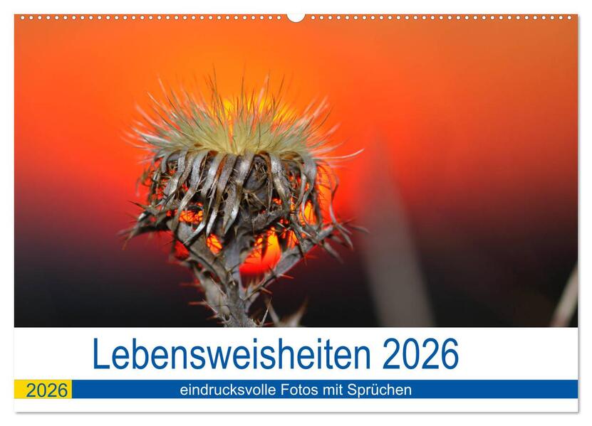 Lebensweisheiten 2026 (Wandkalender 2026 DIN A2 quer) CALVENDO Monatskalender