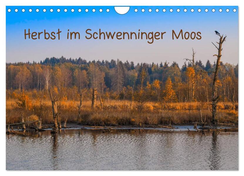 Herbst im Schwenninger Moos (Wandkalender 2026 DIN A4 quer) CALVENDO Monatskalender