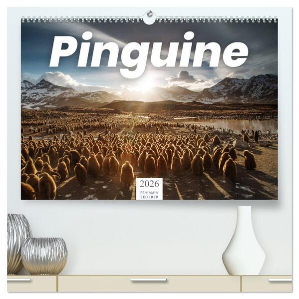 Pinguine - Die sympathischen Frack-Träger (hochwertiger Premium Wandkalender 2026 DIN A2 quer) Kunstdruck in Hochglanz