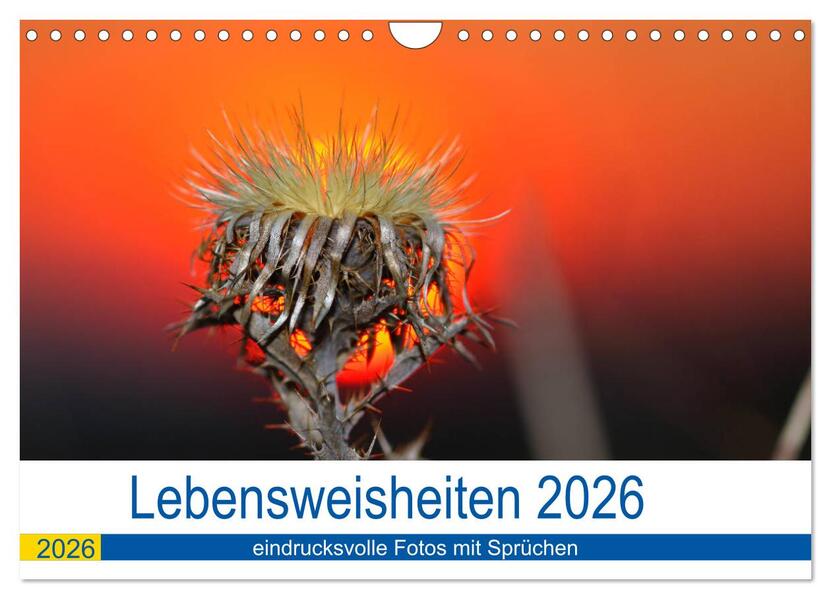 Lebensweisheiten 2026 (Wandkalender 2026 DIN A4 quer) CALVENDO Monatskalender