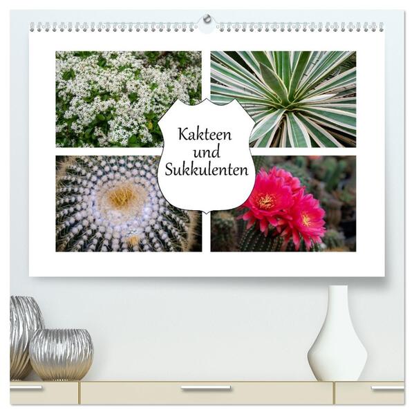 Kakteen und Sukkulenten (hochwertiger Premium Wandkalender 2026 DIN A2 quer) Kunstdruck in Hochglanz