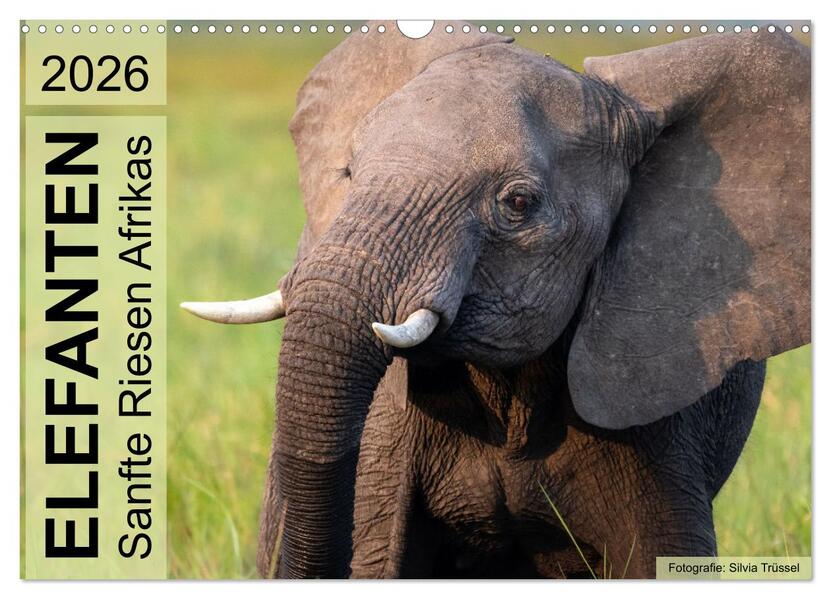 Elefanten - Sanfte Riesen Afrikas (Wandkalender 2026 DIN A3 quer) CALVENDO Monatskalender