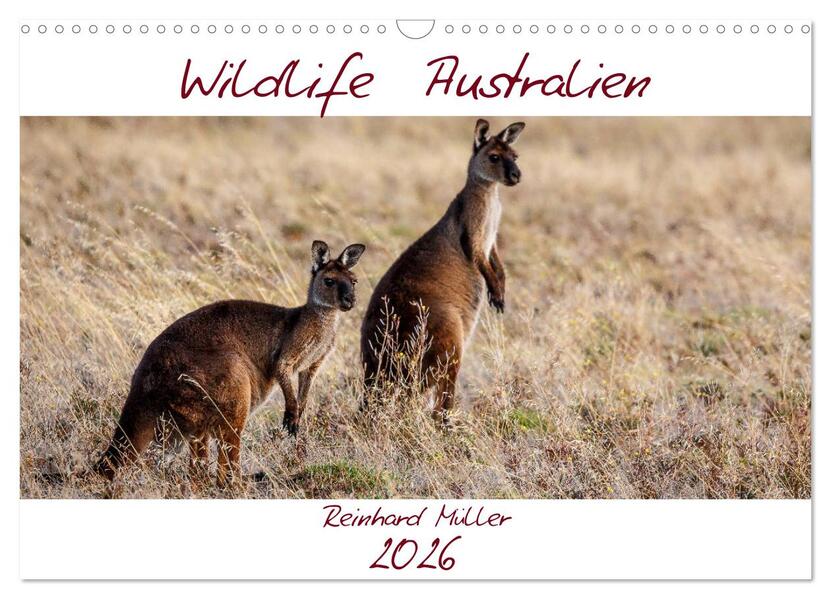 Wildlife Australien (Wandkalender 2026 DIN A3 quer) CALVENDO Monatskalender