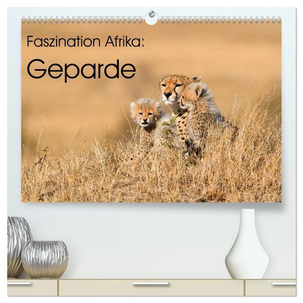 Faszinaton Afrika: Geparde (hochwertiger Premium Wandkalender 2026 DIN A2 quer) Kunstdruck in Hochglanz