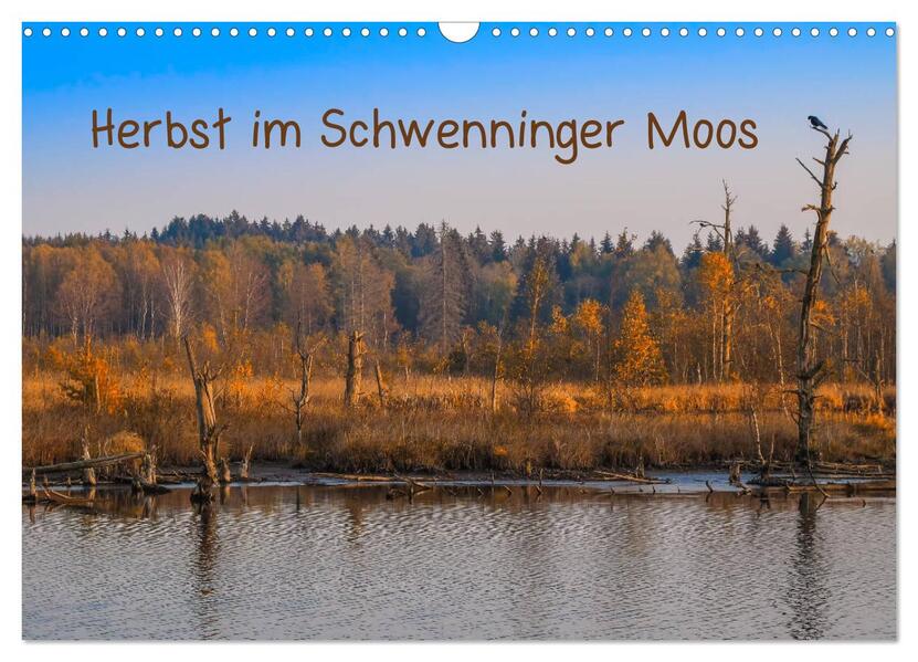 Herbst im Schwenninger Moos (Wandkalender 2026 DIN A3 quer) CALVENDO Monatskalender